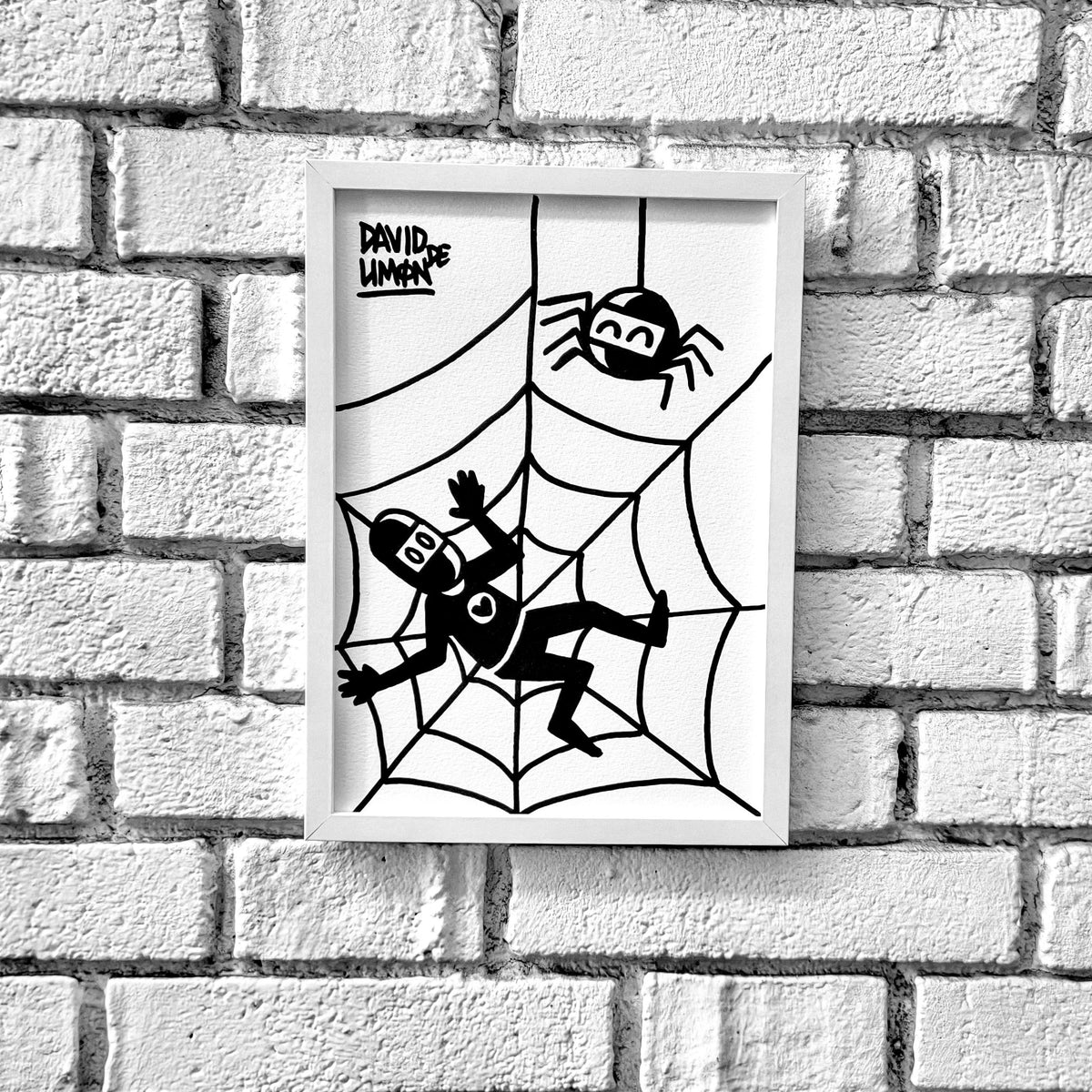 The web catcher - Original work by David de Limón